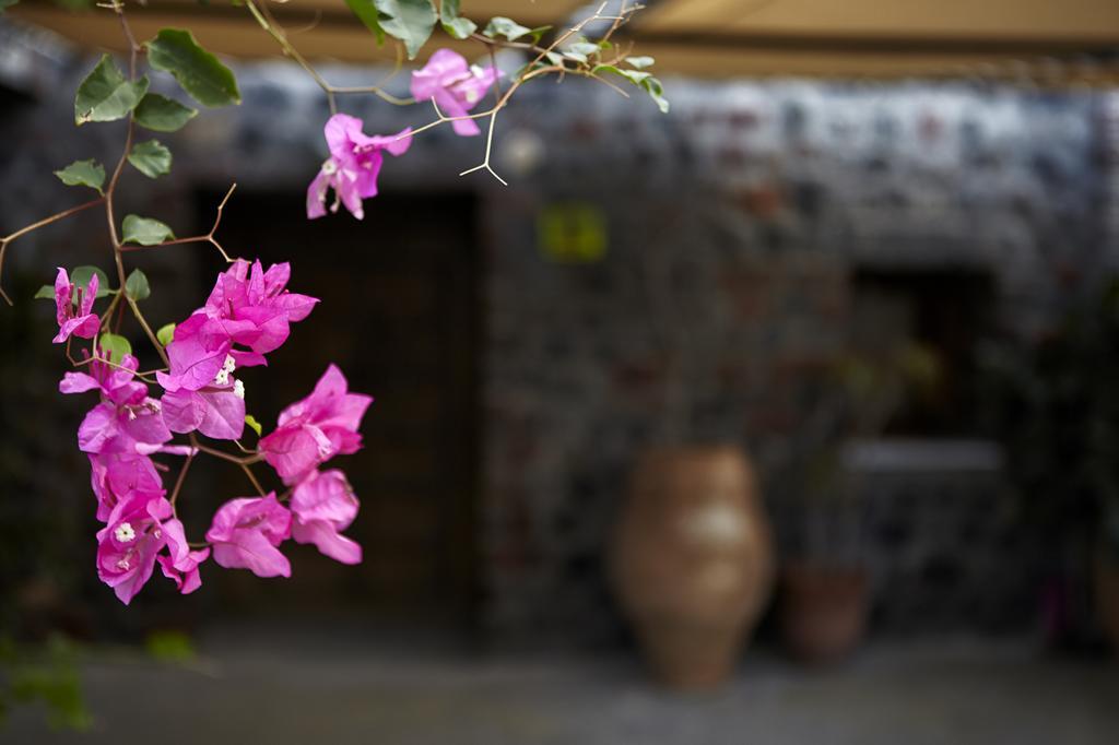 Thermes Saint Alexander Villas 메갈로호리 객실 사진